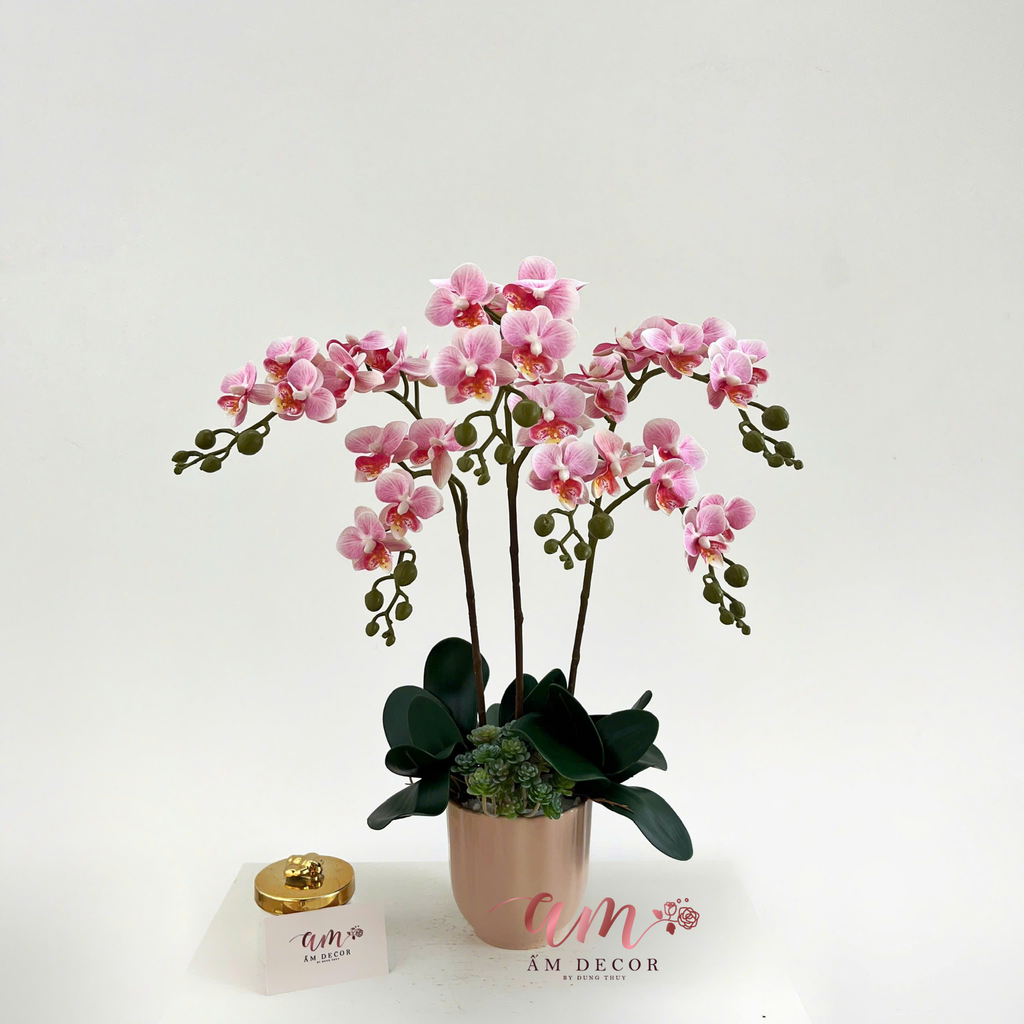 BÌNH ORCHIDS ROSÉ MINIVASE