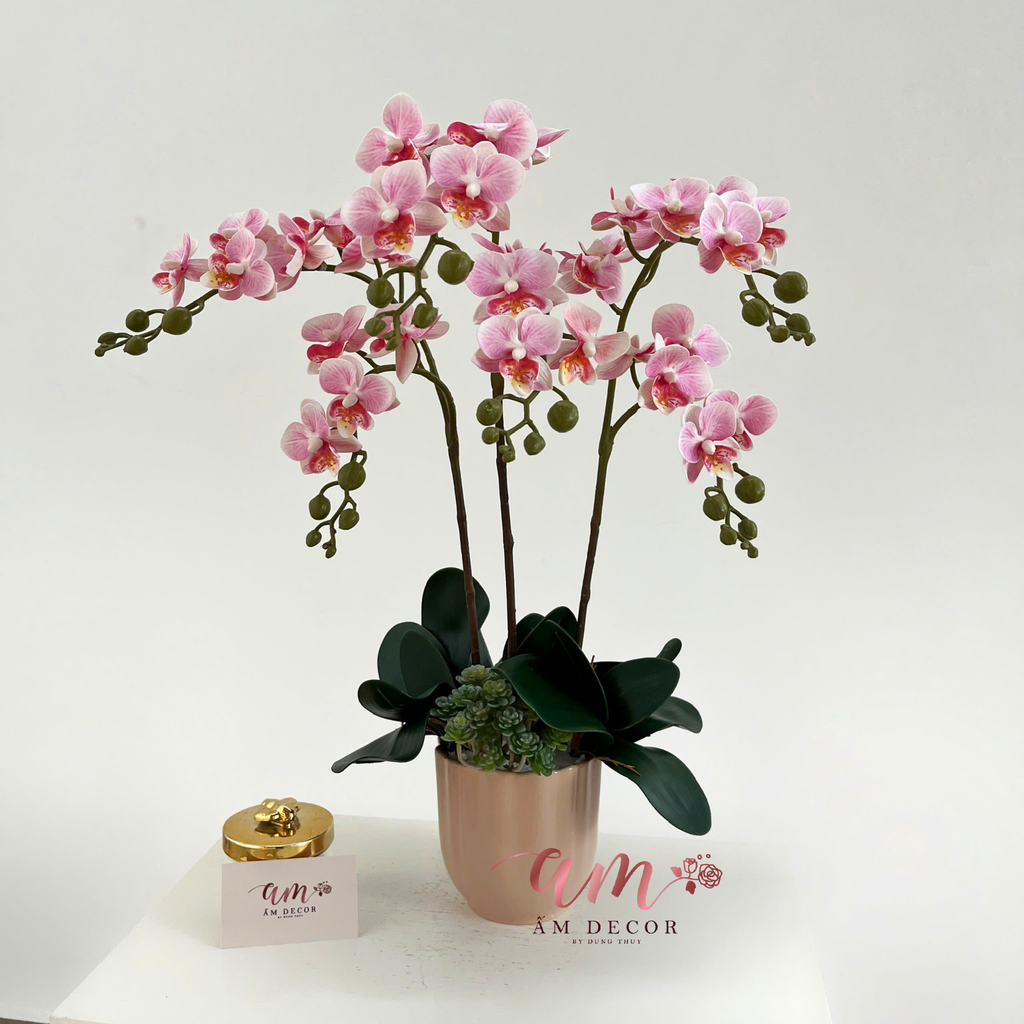BÌNH ORCHIDS ROSÉ MINIVASE