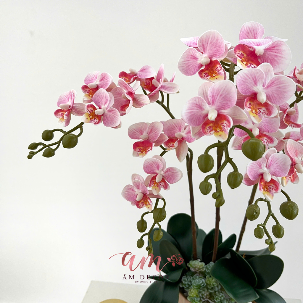 BÌNH ORCHIDS ROSÉ MINIVASE