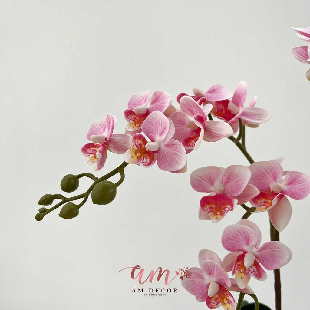 BÌNH ORCHIDS ROSÉ MINIVASE