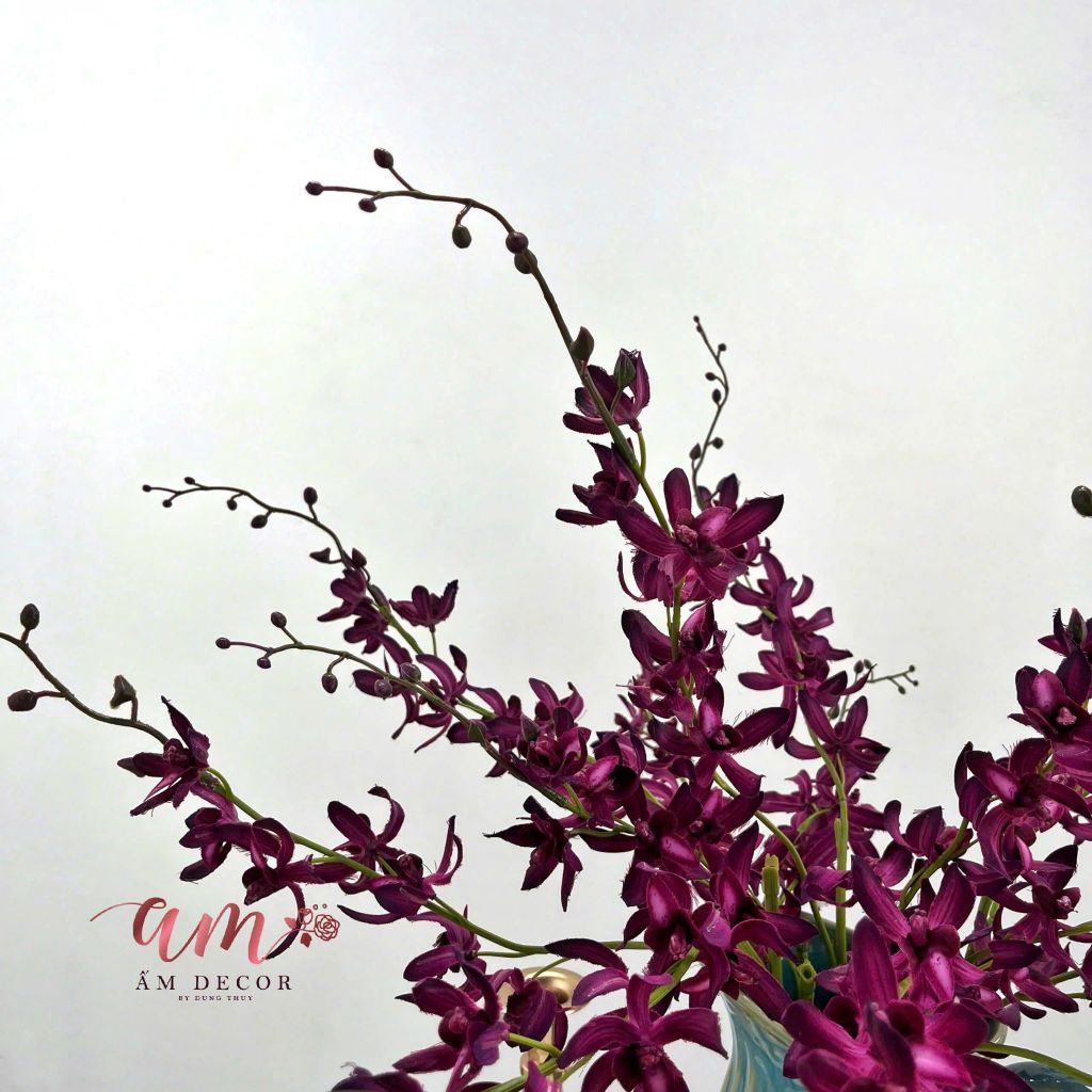 BÌNH HOA GARDEN THYME