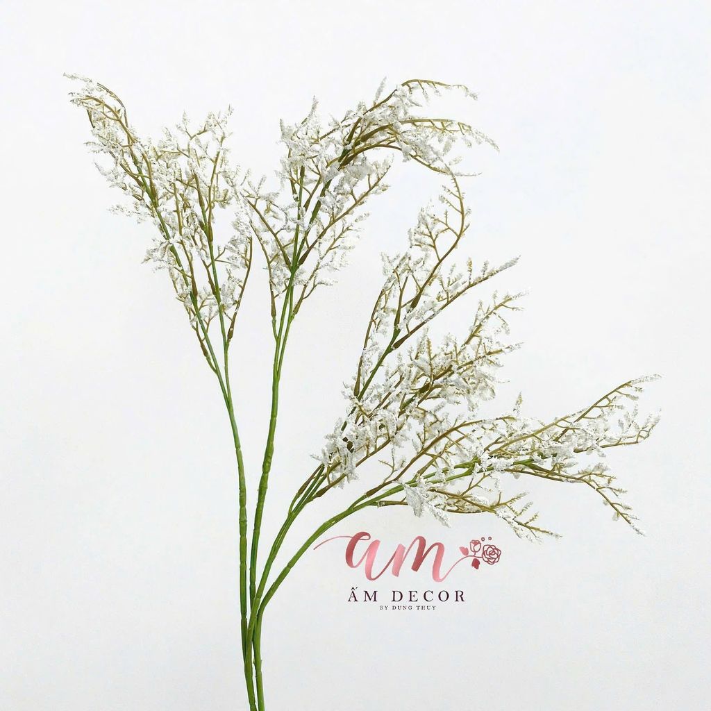 CỎ TÌNH YÊU (TRẮNG)