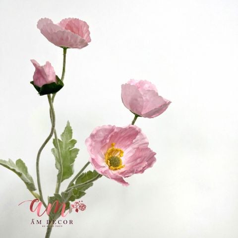  ANH TÚC 3D LỤA ẨM (HỒNG) 