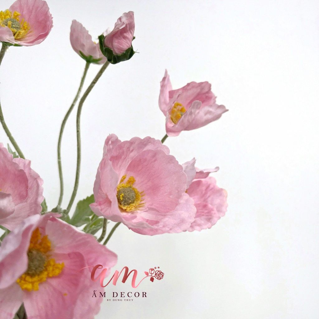ANH TÚC 3D LỤA ẨM (HỒNG)