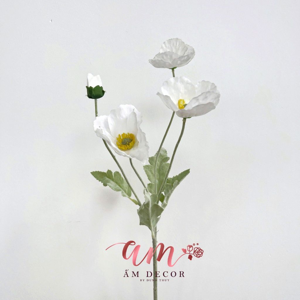 ANH TÚC 3D LỤA ẨM (TRẮNG)