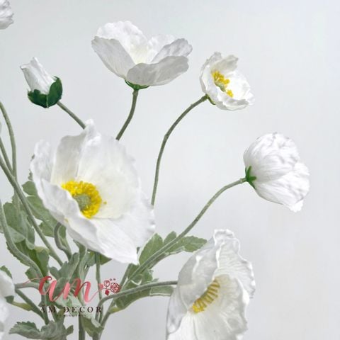  ANH TÚC 3D LỤA ẨM (TRẮNG) 