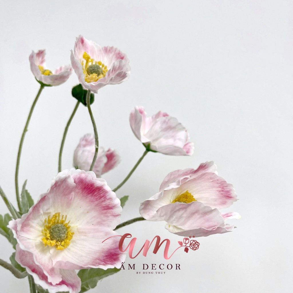 ANH TÚC 3D LỤA ẨM (HỒNG TRẮNG)