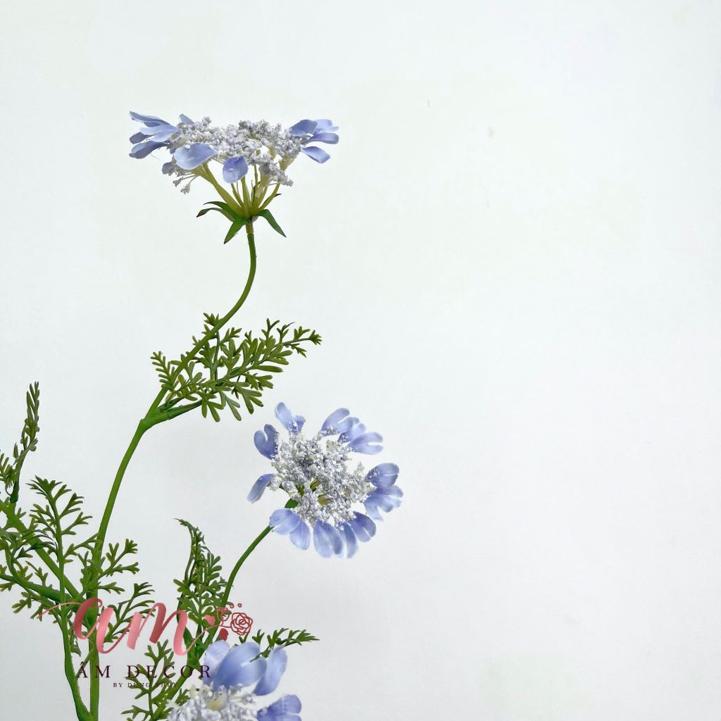 HOA CÀ RỐT (Xanh Dương)