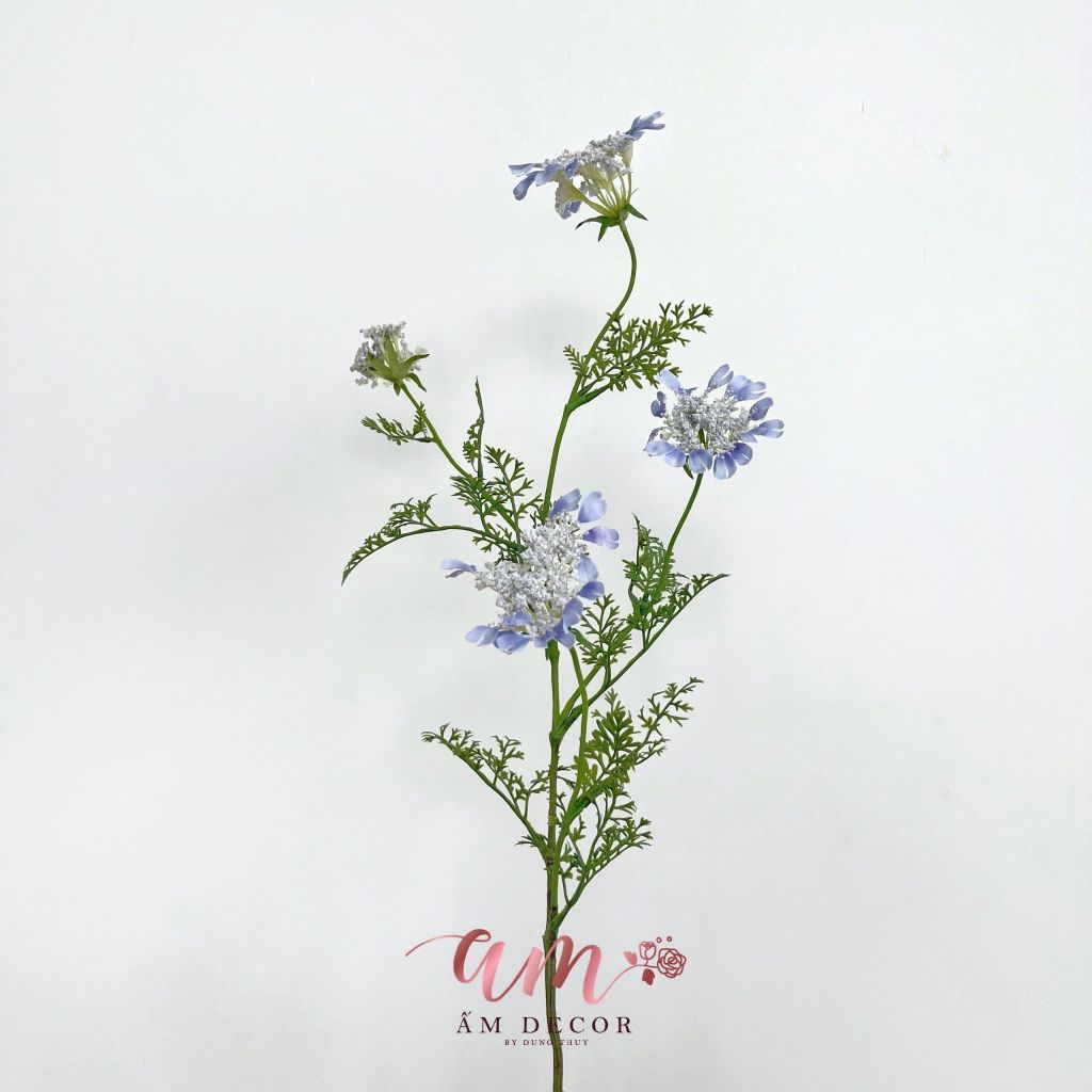 HOA CÀ RỐT (Xanh Dương)