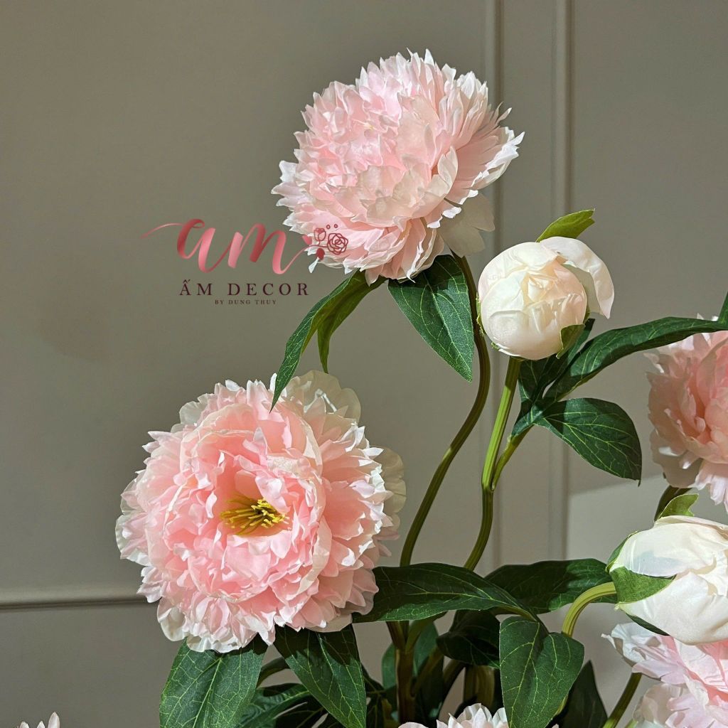BÌNH HOA LA VIE EN FLEURS