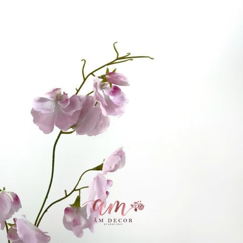  ĐẬU THƠM KHÔNG LÁ GIỮ ẨM (HỒNG) 