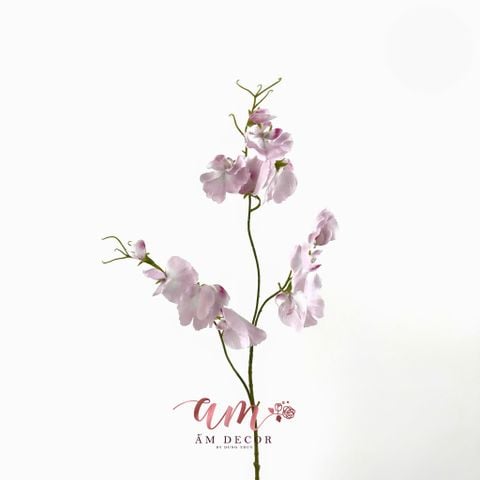  ĐẬU THƠM KHÔNG LÁ GIỮ ẨM (HỒNG) 