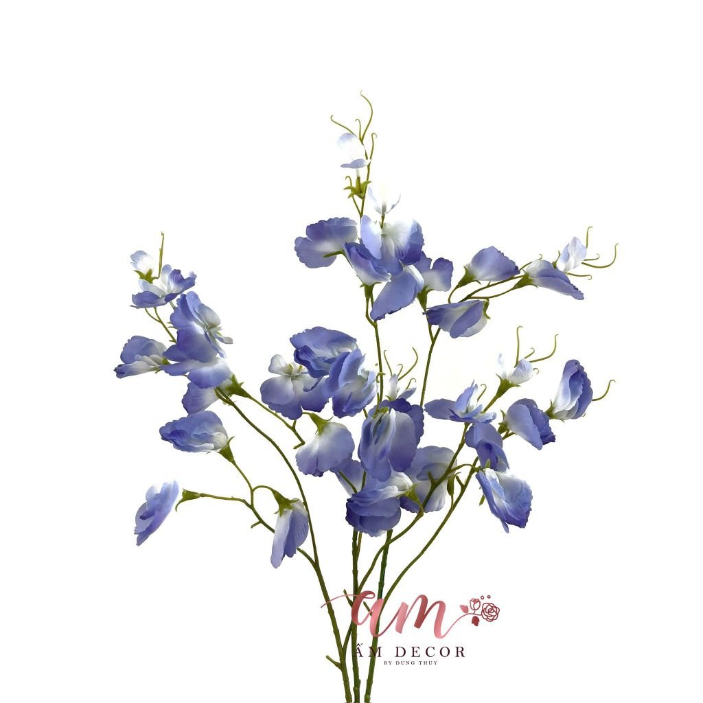 ĐẬU THƠM KHÔNG LÁ GIỮ ẨM (Xanh Tím)