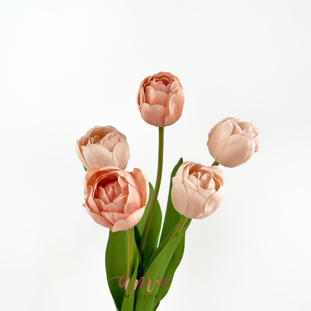 TULIP KÉP NHIỀU CÁNH (CAM DA NHẠT)