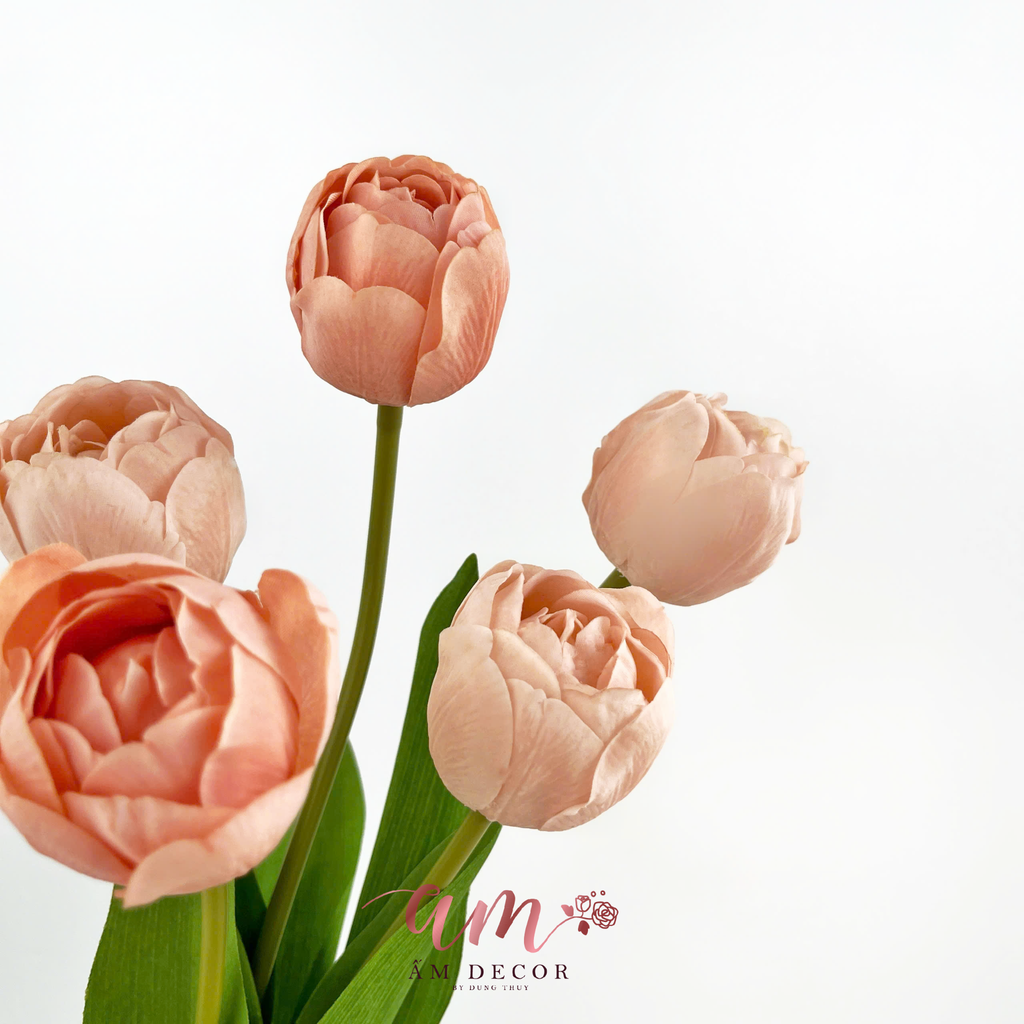 TULIP KÉP NHIỀU CÁNH (CAM DA NHẠT)