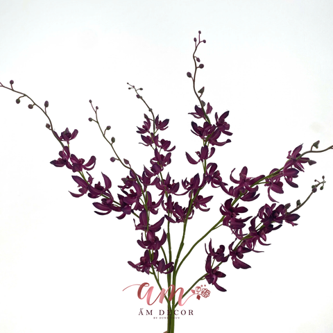  ĐỊA LAN XẠ HƯƠNG 