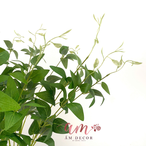  CHÙM LÁ NHÀI LEO NGẮN 