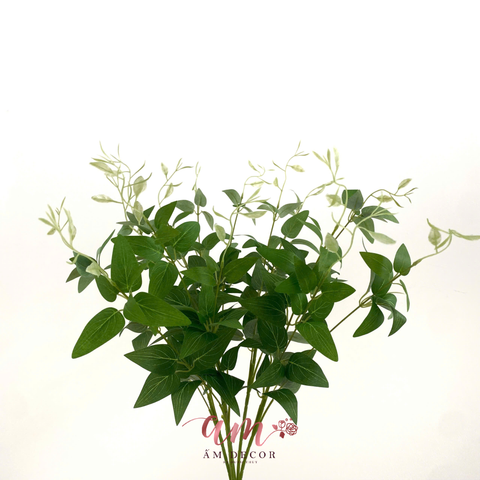  CHÙM LÁ NHÀI LEO NGẮN 