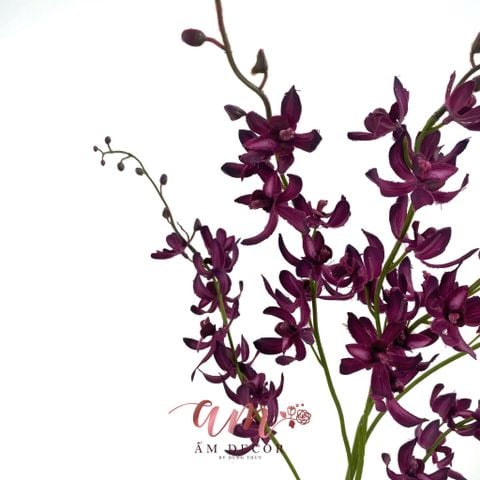  ĐỊA LAN XẠ HƯƠNG 