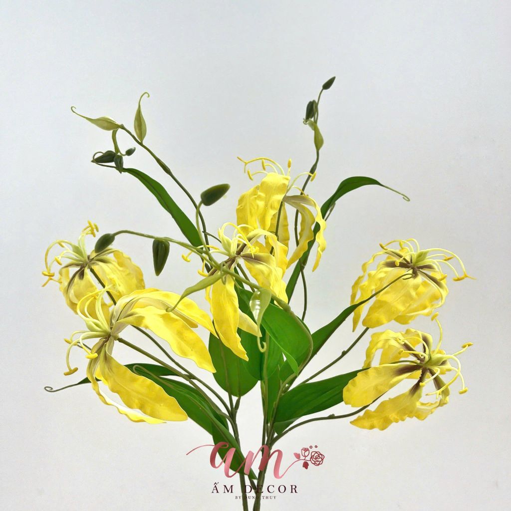 LYLI LỬA (Vàng)