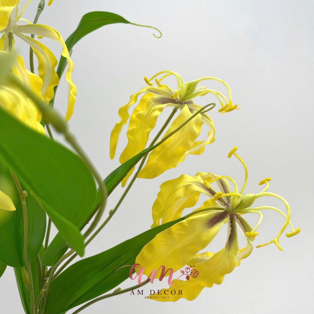 LYLI LỬA (Vàng)