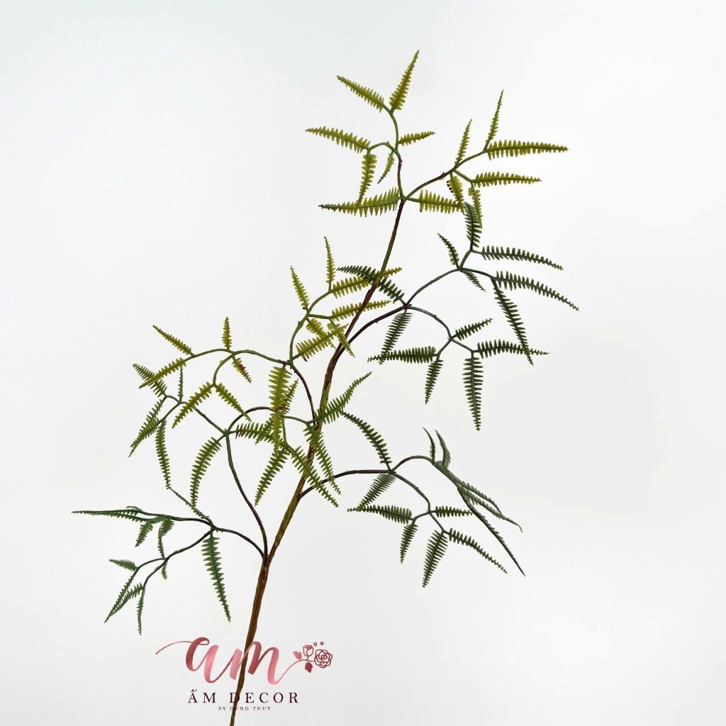 CÀNH LÁ XẤU HỔ