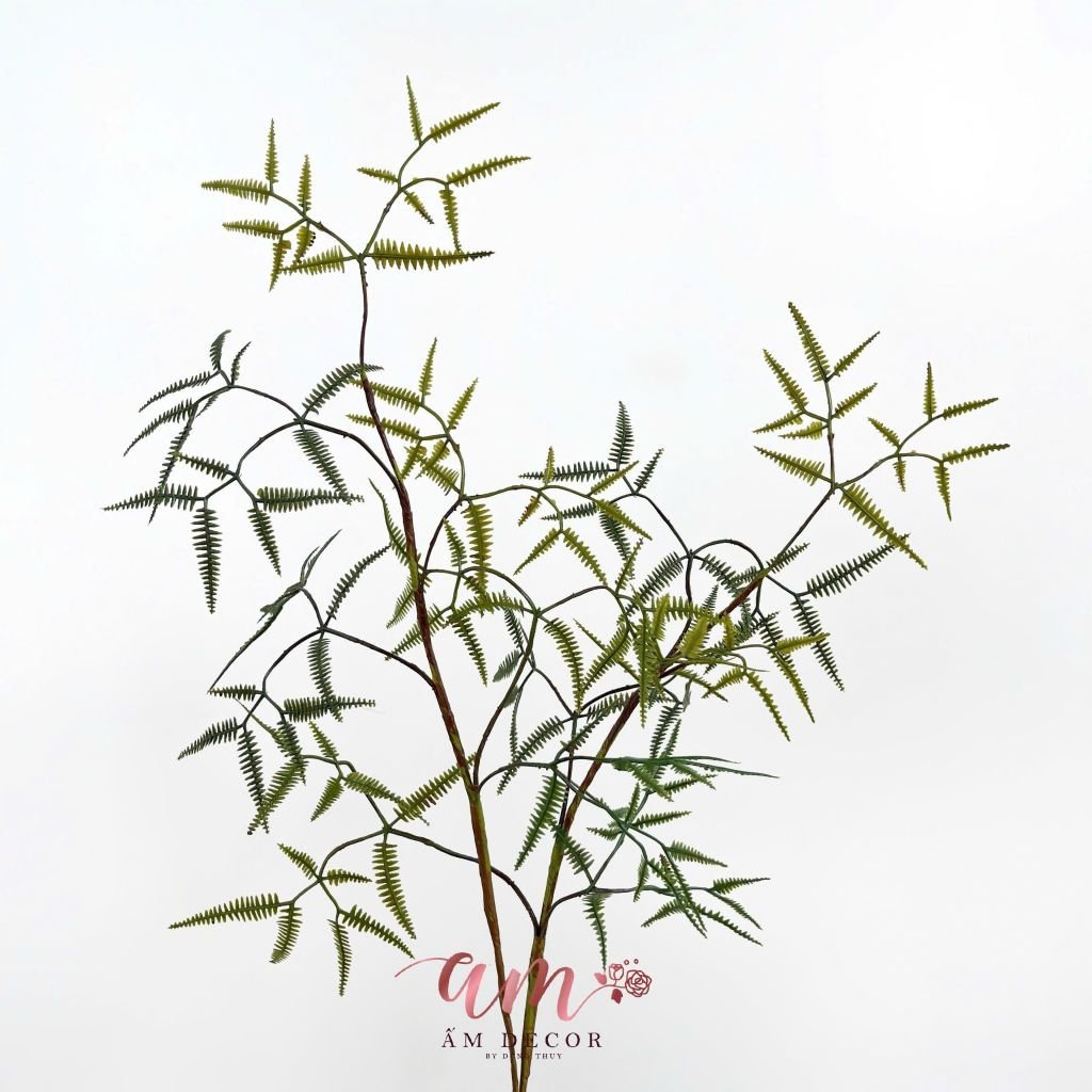 CÀNH LÁ XẤU HỔ