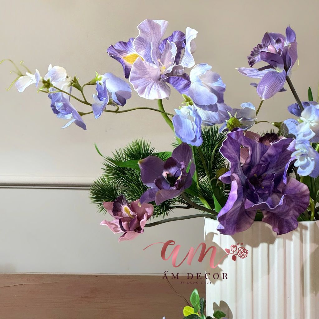 ZBÌNH HOA ROYAL IRIS