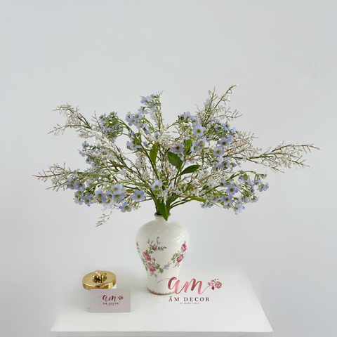  BÌNH HOA CELESTIA BREEZE 