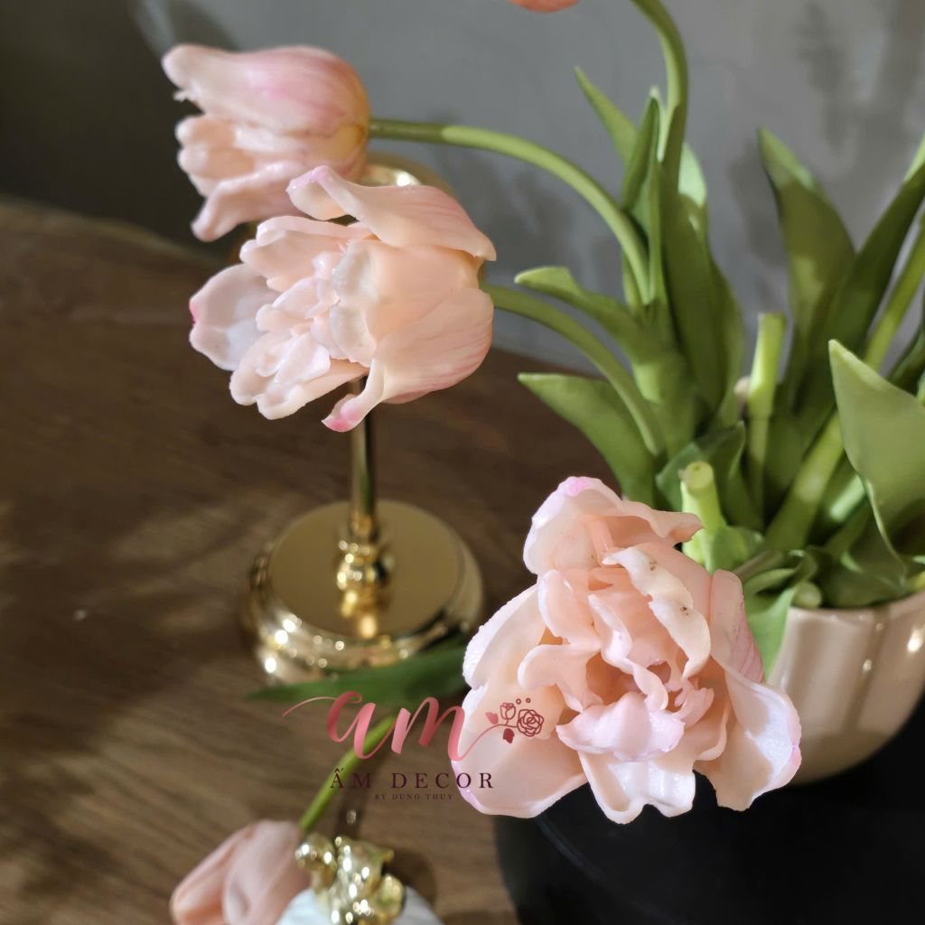 ZBÌNH HOA TULIP PETALINNE