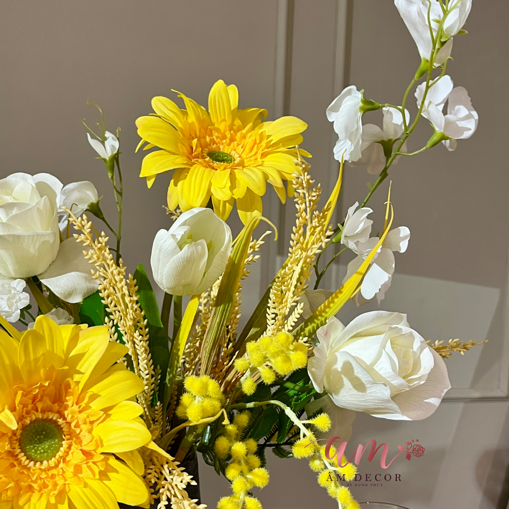 ZBÌNH HOA SOLINA RAY