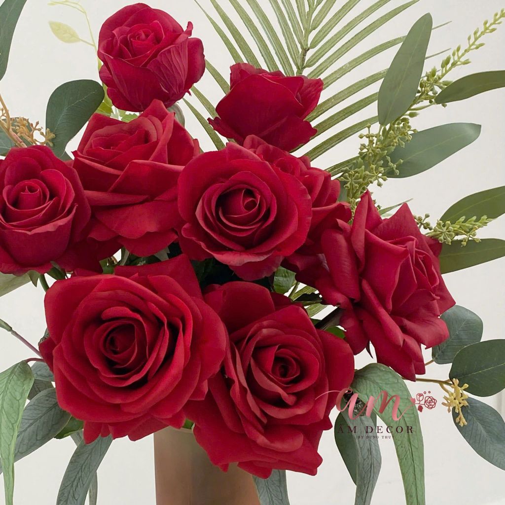 ZBÌNH HOA RUBY SERENADE