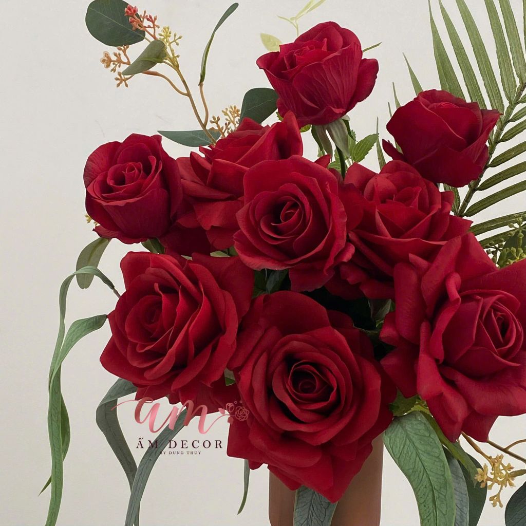 ZBÌNH HOA RUBY SERENADE