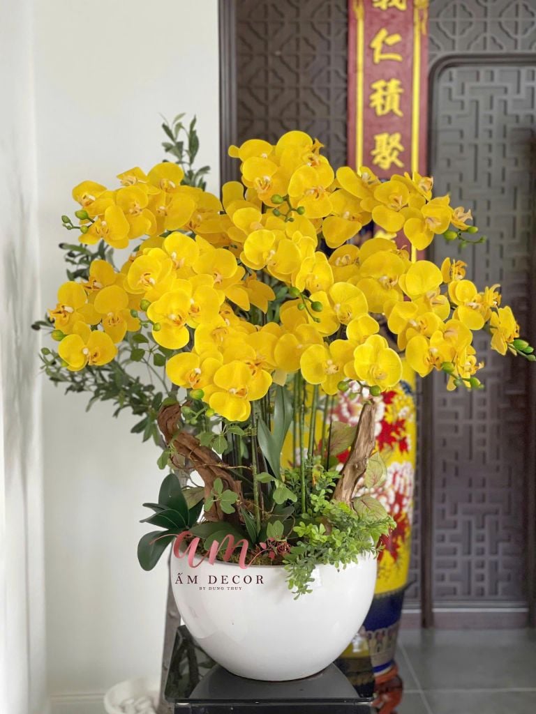 ZBÌNH HOA LAMOON ORCHID