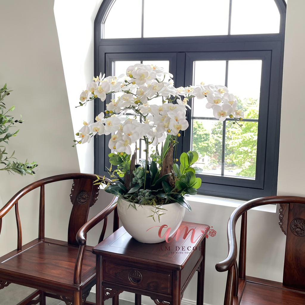 BÌNH HOA PEARL ORCHID