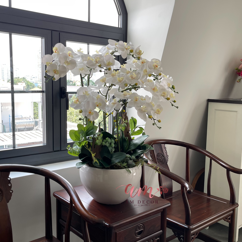 BÌNH HOA PEARL ORCHID