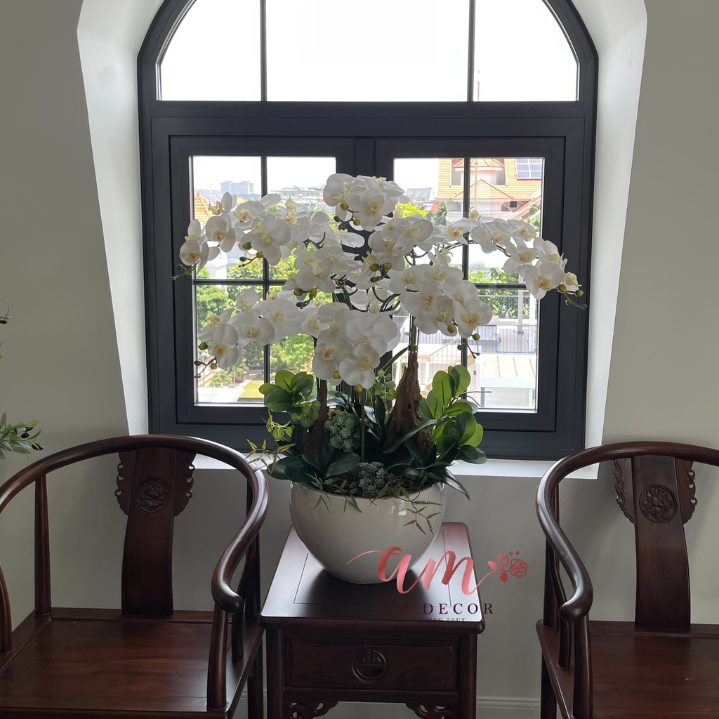 BÌNH HOA PEARL ORCHID