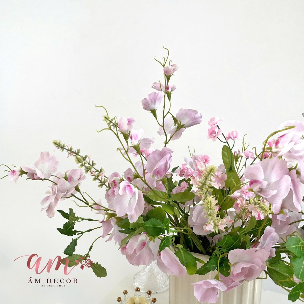 ZBÌNH HOA BLOSSOM SERENADE