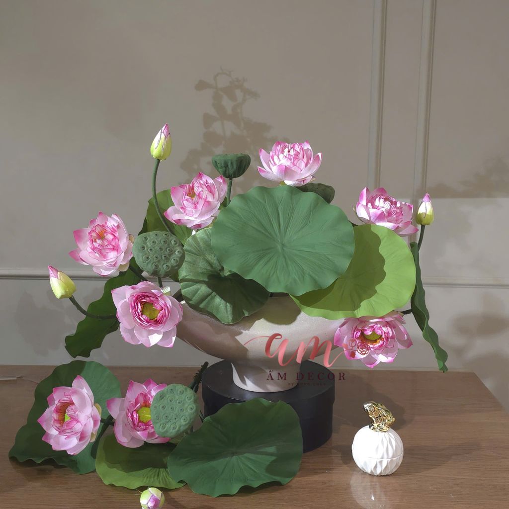 ZBÌNH HOA ROSA LOTUS