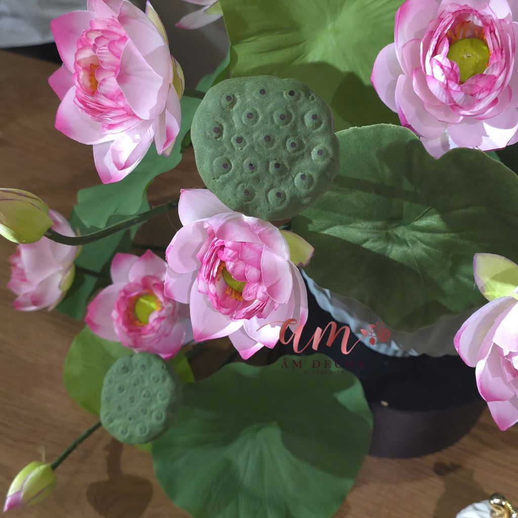 BÌNH HOA LOTUS BLUSH