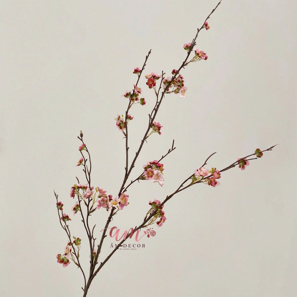 CÀNH HOA MẬN DẠI