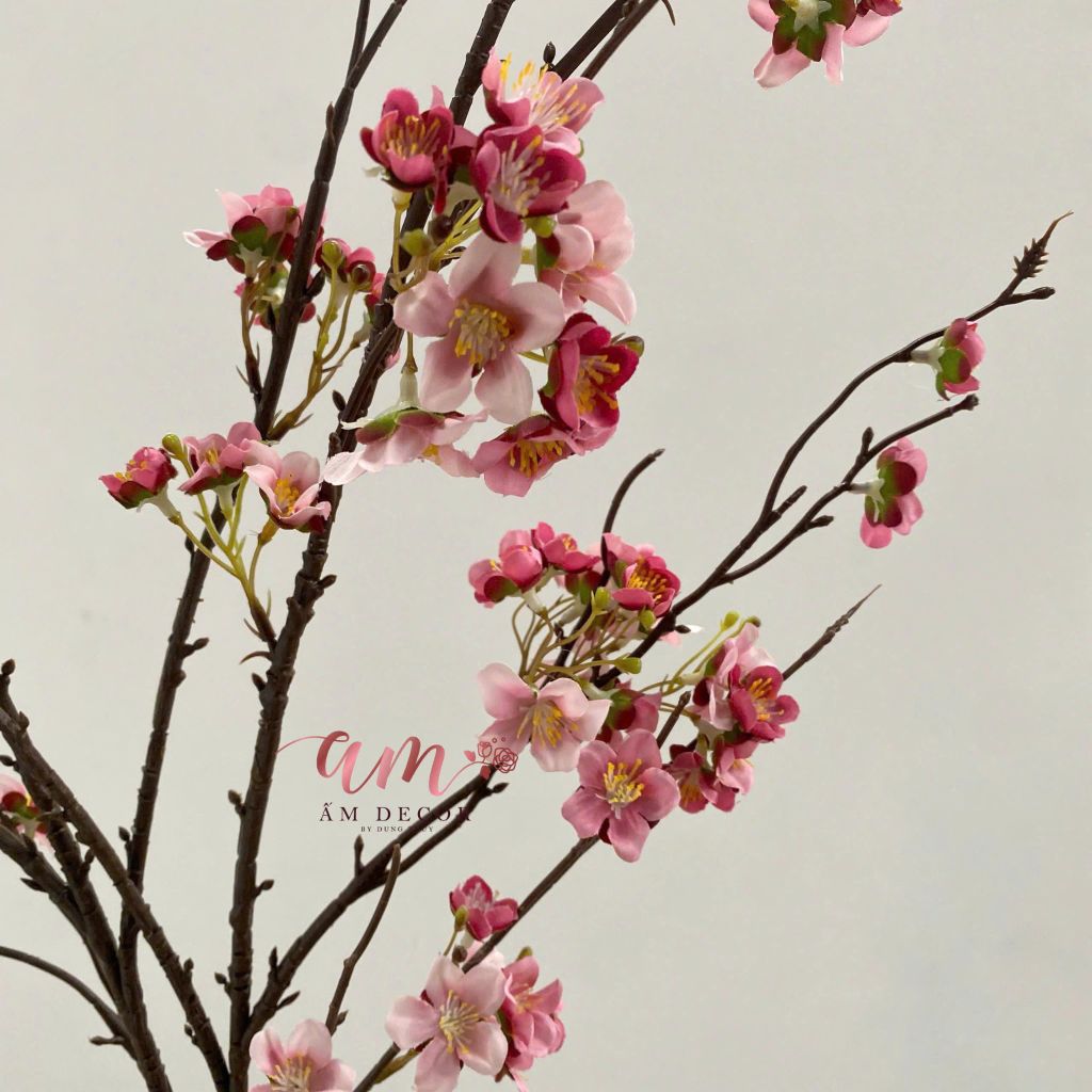 CÀNH HOA MẬN DẠI