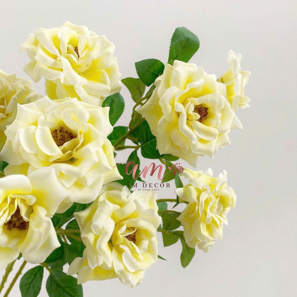 HOA HỒNG ANH BÔNG NỞ (Vàng)