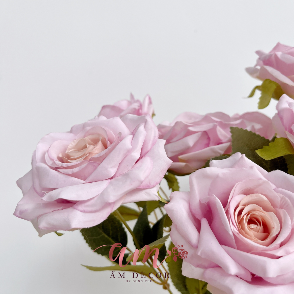 ZCHÙM HOA HỒNG CÁNH NHỌN (Hồng nhạt)