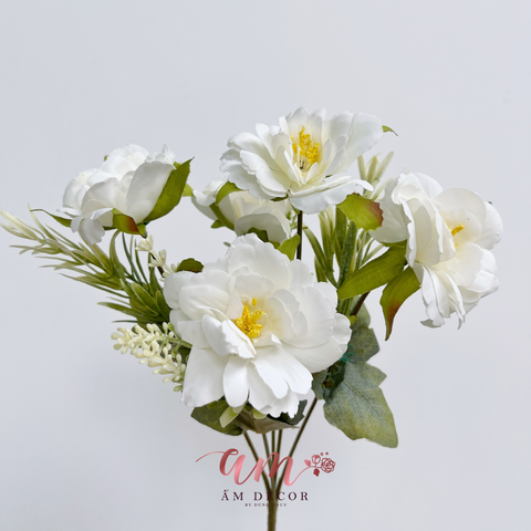  CHÙM HOA NHÀI TRẮNG 