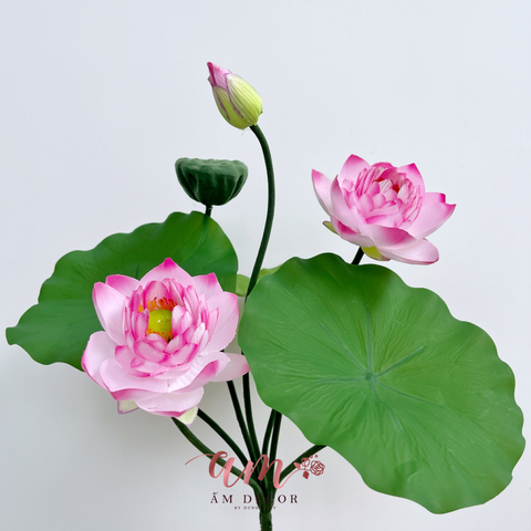  CHÙM SEN THÁI NHÍ 