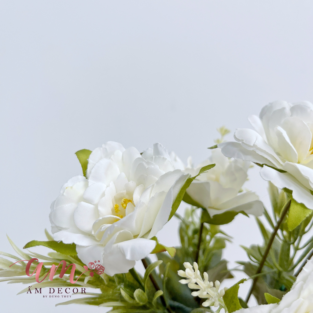 CHÙM HOA NHÀI TRẮNG