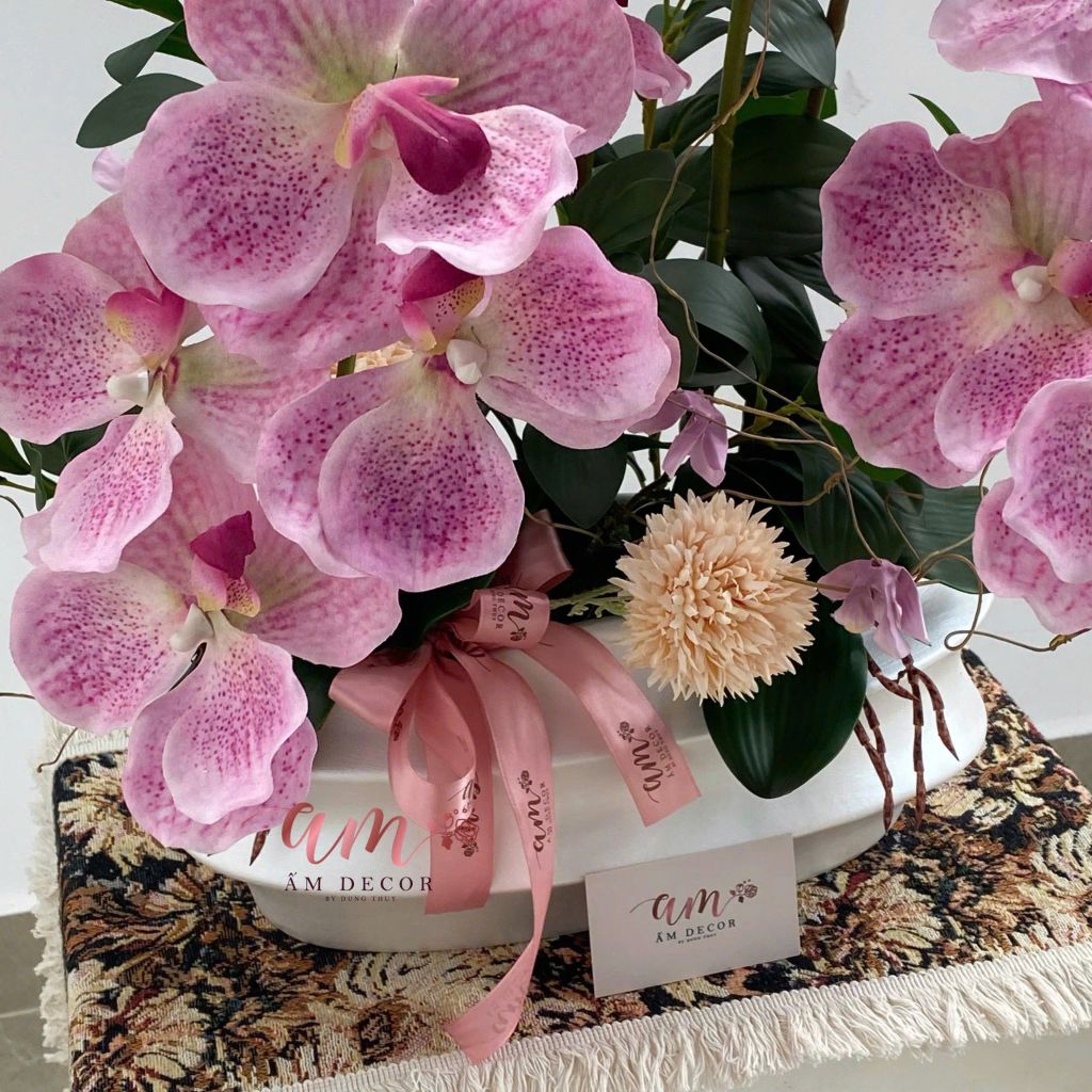 BÌNH HOA ORCHIDÉE BUTTERFLY