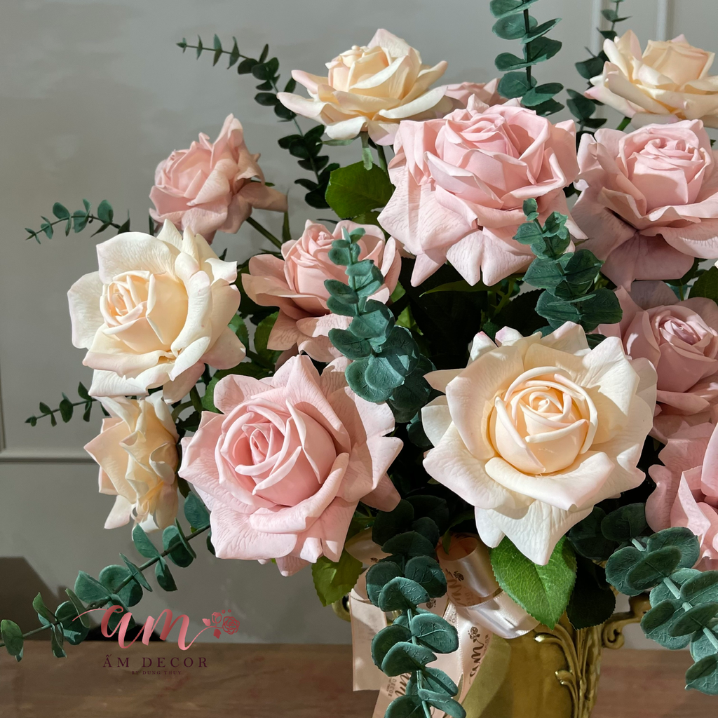 ZBÌNH HOA ASOLÉA BLOOM