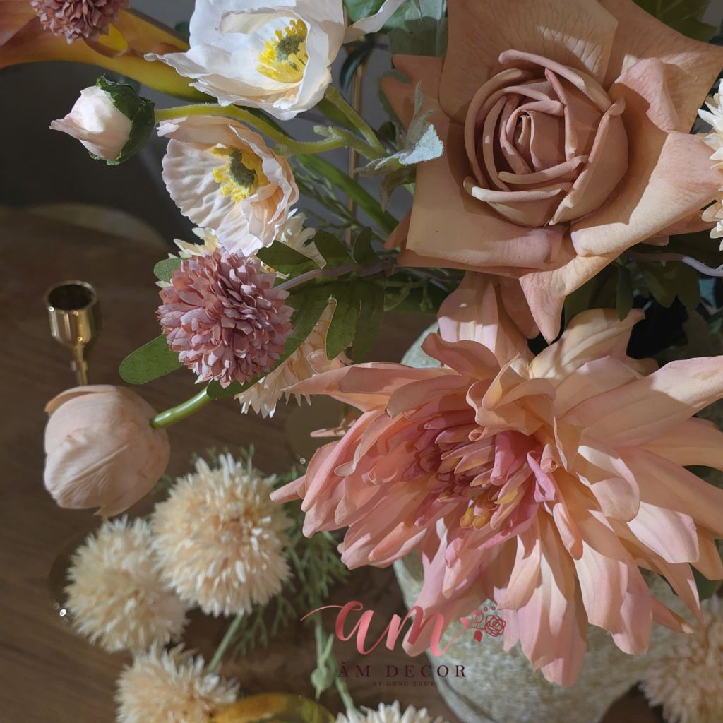 ZBÌNH HOA AUCORAL WHISPER